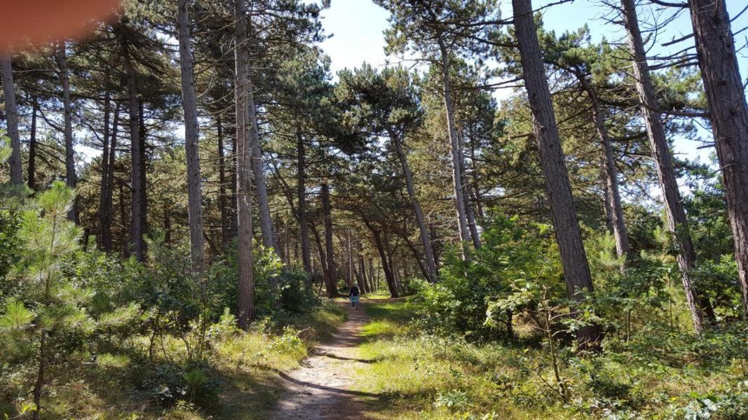 Апартаменты Haus Waldluft Whg. Buche Куксхафен Экстерьер фото